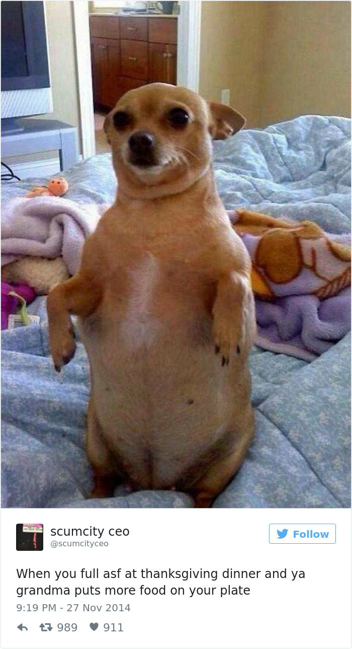 Funny Thanksgiving Tweets