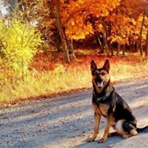 namkha_phalam avatar