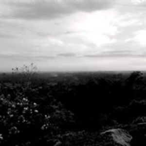 ppook_vivatsrikul avatar