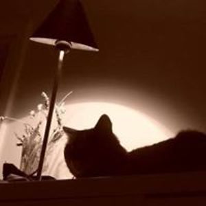 patrickchasle avatar