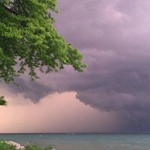 elijah_settles avatar