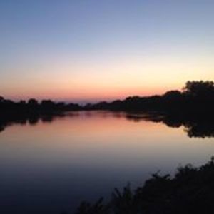 goldenbodhisattva avatar