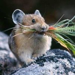 trae_williams avatar