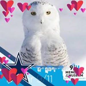 season_tucker avatar