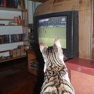 equatorialsun avatar