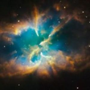 mandycevska_katarina avatar