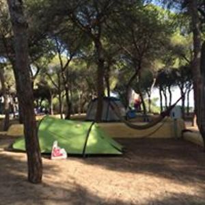 tojestnieistotne avatar