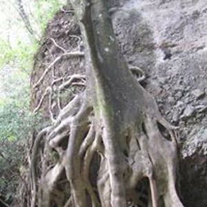 darlene_lockwood avatar