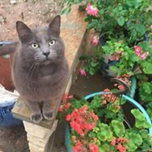 grace_a_robertson avatar