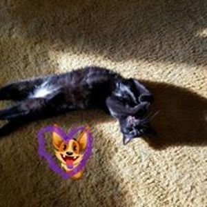 jacksonfam317 avatar