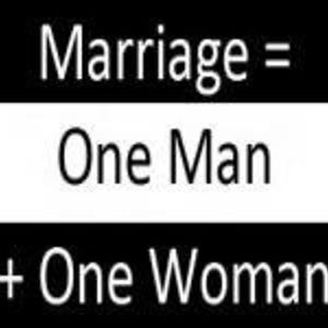 gigiloveslions avatar