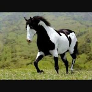 sophia_wozniak avatar