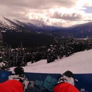 shanealanleifer avatar