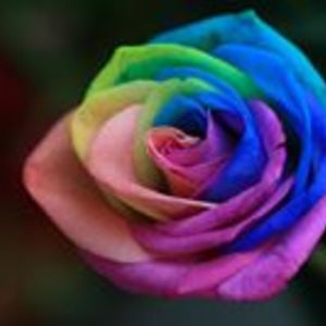 creativewritingdias avatar