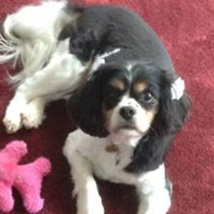 sarahjanefrost avatar