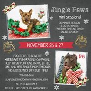 sunflowerphotography avatar