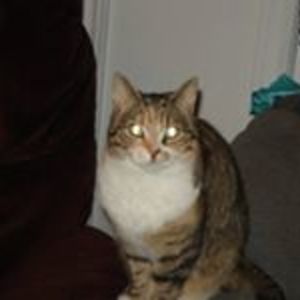 darryl_laidlaw avatar