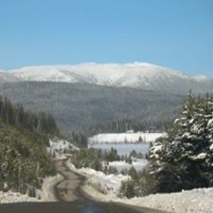 homeonvanisland avatar