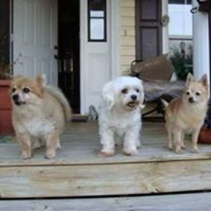 beckyfrombiloxi avatar