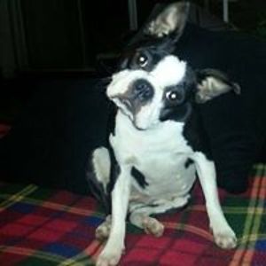 grammabethandyoda avatar