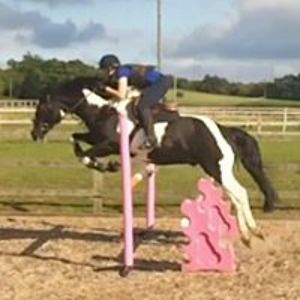 elinorbraithwaite avatar