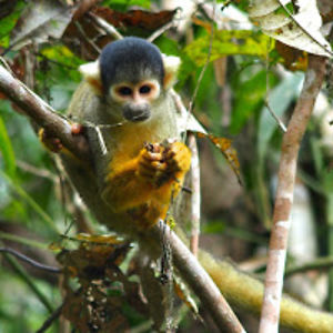 alexandrasacco avatar