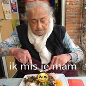 dominique_leemans avatar