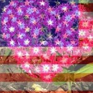 carolamaddalena avatar