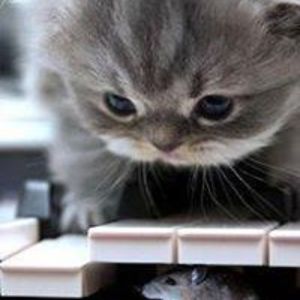 daydreamersylvia avatar