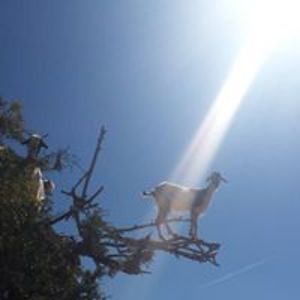 crashbabycrash avatar