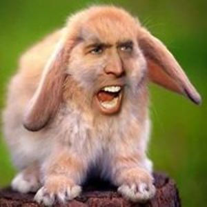 cecilia_costa avatar