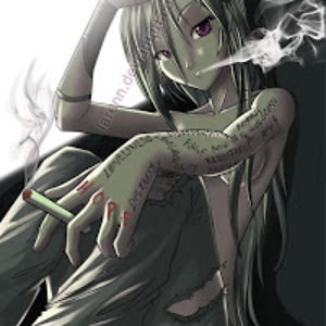 petragasnarkova avatar