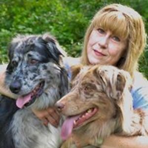 eightyeightkeys avatar