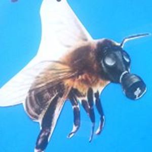 lesterkraszny avatar