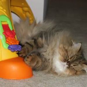 stefanyxxx2001 avatar