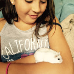 meandmyhamster avatar