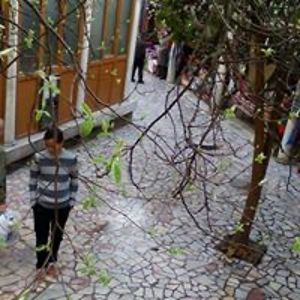 munawwirasari avatar