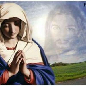 canadagroomer_42 avatar