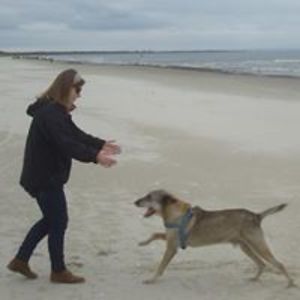 vonengelmonika avatar