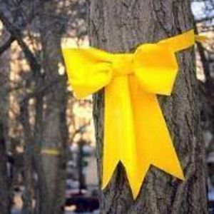 elizabethmcgill avatar