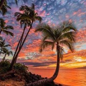 judyhansenmarsh avatar