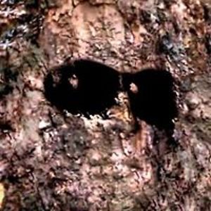 lucienlukas15 avatar