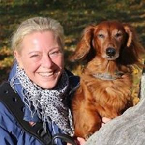 stella_norrvi avatar