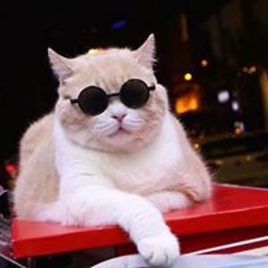 kami_seamountain avatar