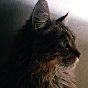 emilysamuels90 avatar