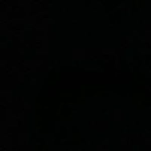 marlenefannon avatar