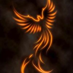 johanne_vallieres7 avatar