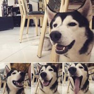 helendwisetiawan avatar