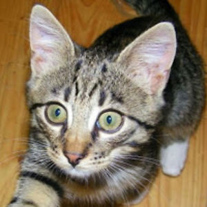 agnkamarauskait avatar