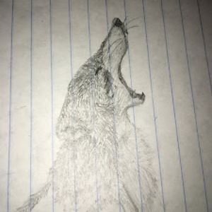 crazyacrylics avatar